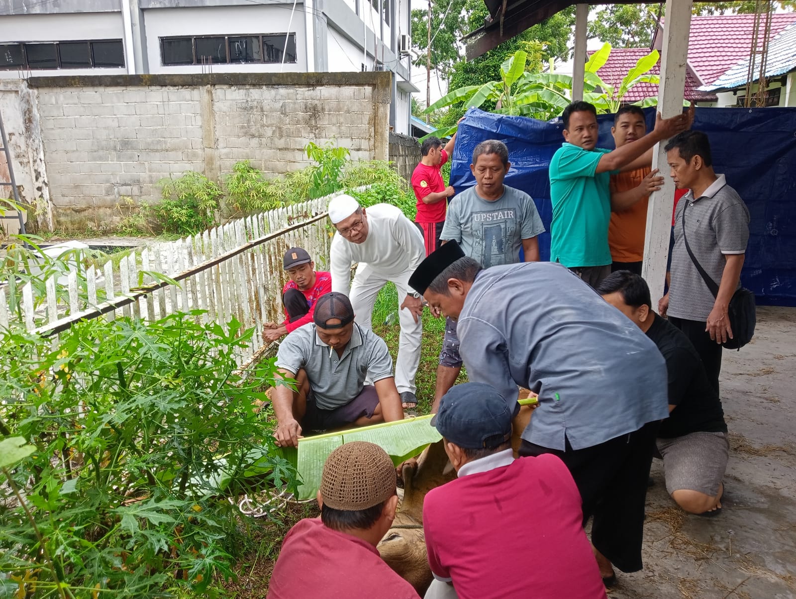 Majelis Talim Assamkiyah Dislutkan Prov. Kalteng Laksanakan Penyembelihan Hewan Kurban Sebanyak Dua Ekor Sapi dan Empat Ekor Kambing